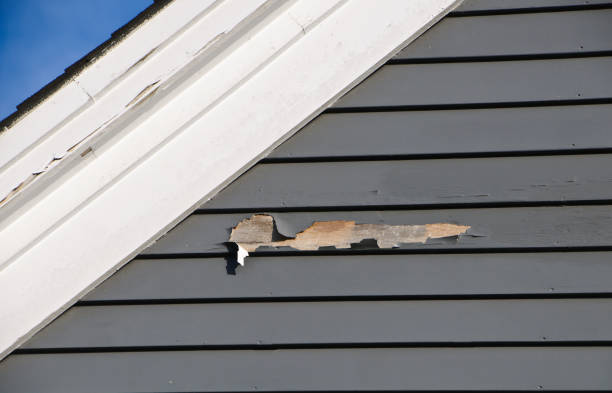 Best Same-Day Junk Removal Services  in Sparta, NC
